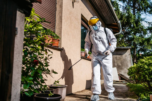 Reliable Mannford, OK Pest Control Solutions