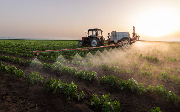Best Pest Removal Services  in Mannford, OK