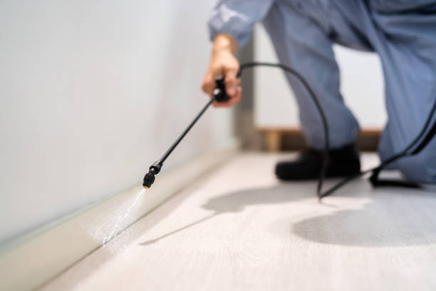 Best Best Pest Control Companies  in Mannford, OK