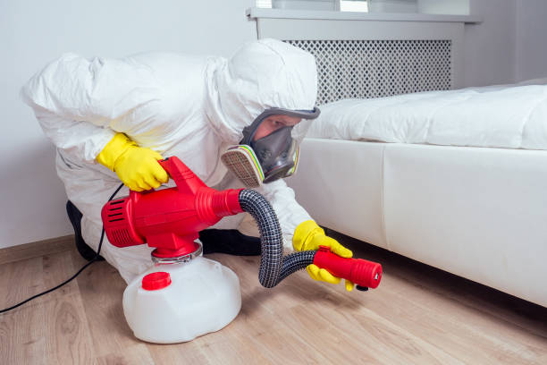 Best Ant Control Services  in Mannford, OK