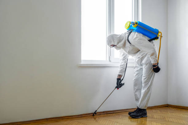 Best Bed Bug Extermination  in Mannford, OK