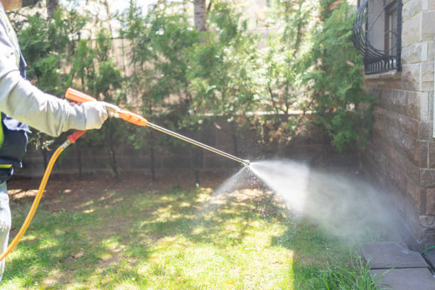 Best Affordable Pest Control Services  in Mannford, OK