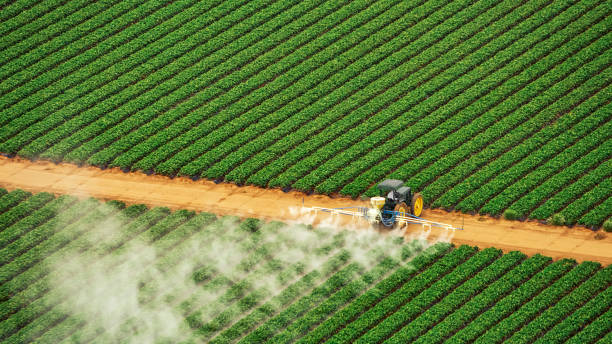 Best Mosquito Control Services  in Mannford, OK