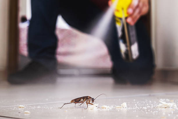 Best Best Pest Control Companies  in Mannford, OK
