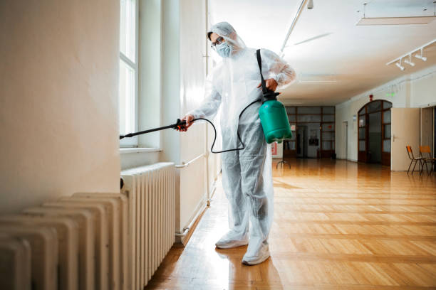 Best Ant Control Services  in Mannford, OK
